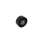 Auto si Moto - Piese auto si accesorii - Piese auto - Componente motor si accesorii - Rola ghidare AUDI A4 Avant 8E5 B6 DAYCO APV2517 - Infinity.ro