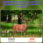 TV, Audio-Video si Foto - Camere video - Camere video profesionale - Camera video,  3MP, rotire 355°, inclinare 90°, video, audio bidirectional, vizionare nocturna, detectarea miscarii - Infinity.ro