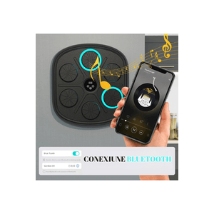 Sport si Outdoor - Sporturi de contact - Saci de box si accesorii - Infinity.ro