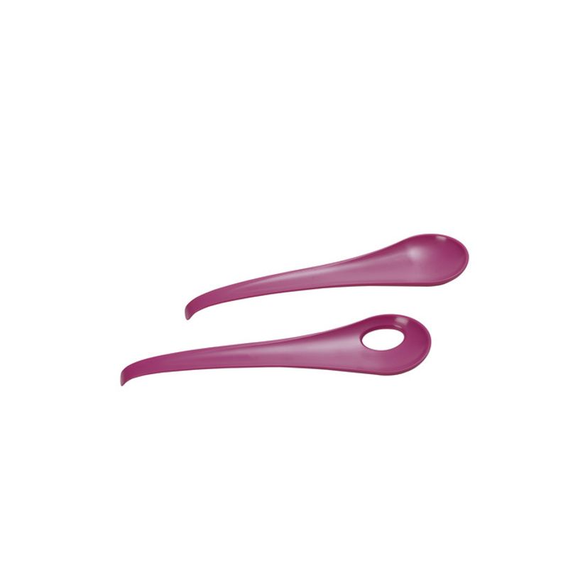 Casa si Gradina - Bucatarie si vesela - Vesela si tacamuri - Tacamuri si seturi - Set 2 tacamuri pentru servire 27x7x2,5 cm, SanaLiving, fuchsia - Infinity.ro