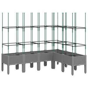 Casa si Gradina - Gradinarit si plante - Plante si ghivece - Infinity.ro