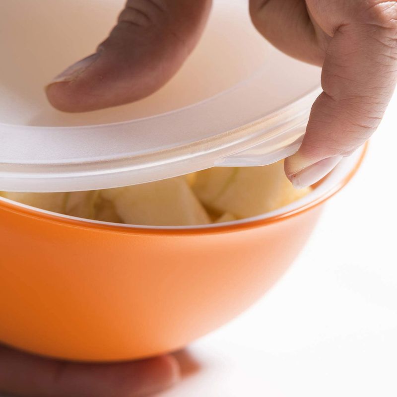 Casa si Gradina - Bucatarie si vesela - Vesela si tacamuri - Farfurii si boluri - Capac pentru bol Sanaliving diametru 14 cm - Infinity.ro