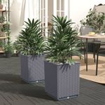 Casa si Gradina - Gradinarit si plante - Plante si ghivece - Ghivece si suporturi - Jardiniere, 2 buc., gri inchis, 30x30x37 cm, polipropilena - Infinity.ro