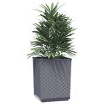Casa si Gradina - Gradinarit si plante - Plante si ghivece - Ghivece si suporturi - Jardiniere, 2 buc., gri inchis, 30x30x37 cm, polipropilena - Infinity.ro