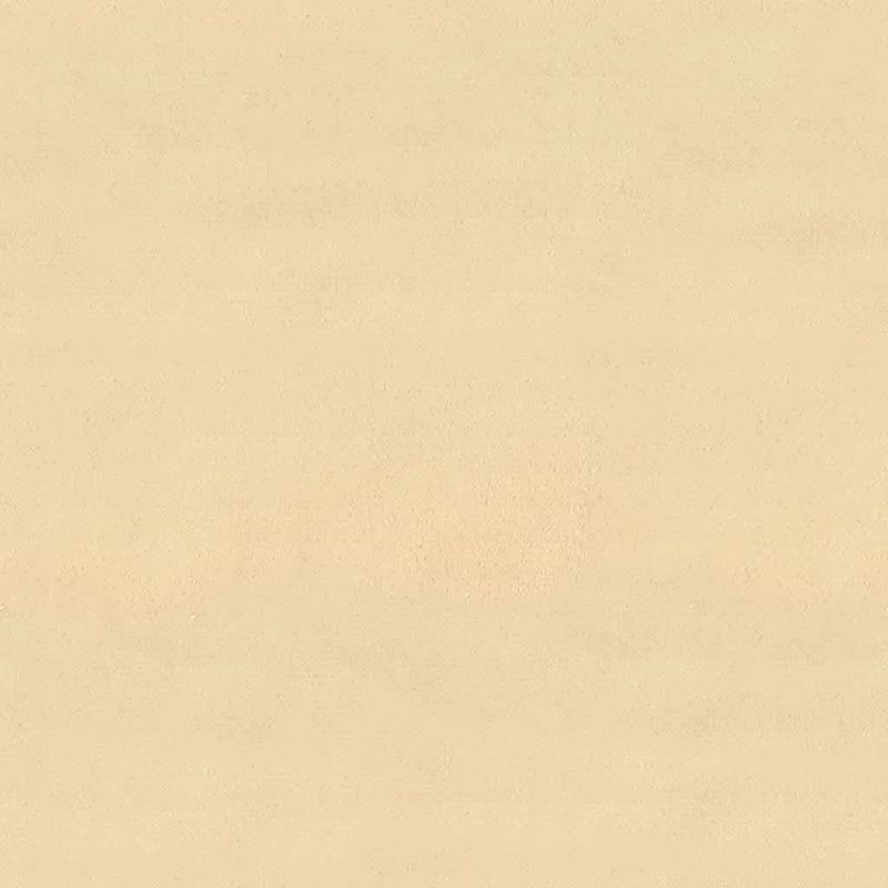 Casa si Gradina - Mobilier - Scaune si fotolii - Scaune - Scaune de bucatarie, 2 buc., crem, catifea - Infinity.ro