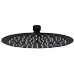 Casa si Gradina - Sanitare - Cazi si cabine de dus - Coloane si seturi de dus - Cap de dus tip ploaie rotund, negru, 20 cm, otel inoxidabil - Infinity.ro