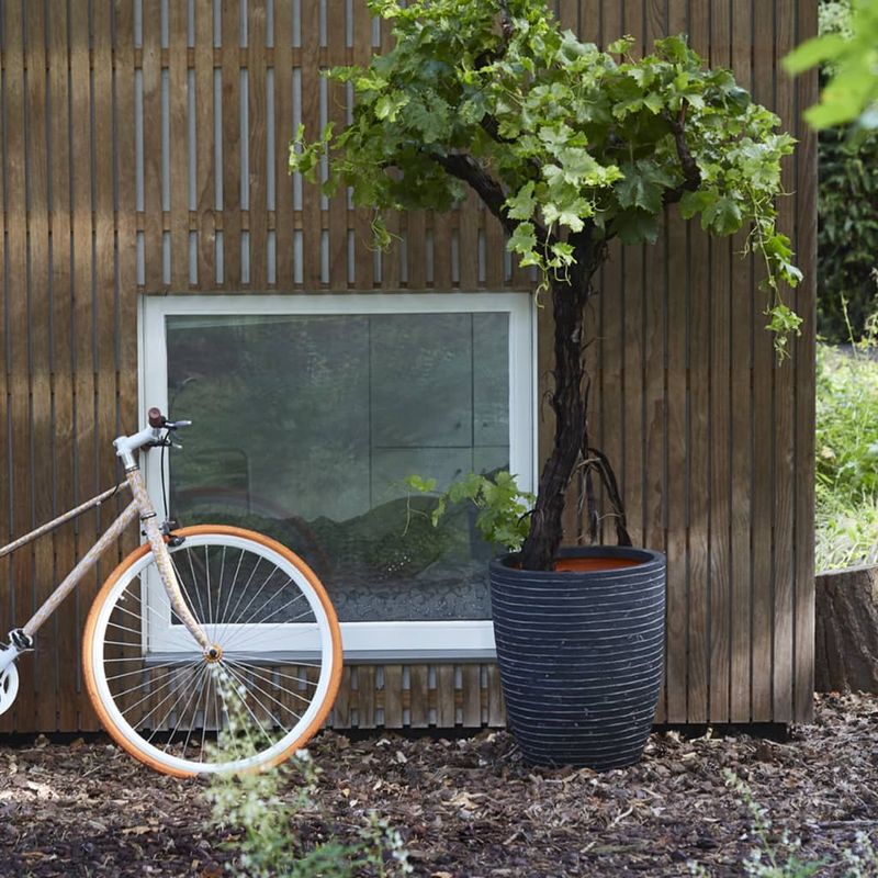 Casa si Gradina - Gradinarit si plante - Plante si ghivece - Ghivece si suporturi - Capi Vas de plante Nature Row elegant, antracit, 36x47 cm, mic KRWZ782 - Infinity.ro