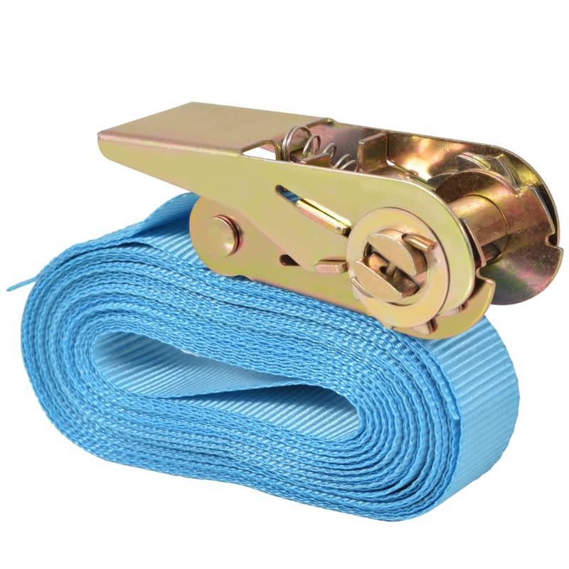 Casa si Gradina - Constructii - Depozitare, transport si protectie - Accesorii echipamente pentru transport si ridicat - Chingi fixare cu clichet 4 buc, 0,8 tone, 6 m x 25 mm, albastru - Infinity.ro