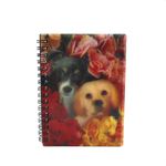 Carti si Birotica - Papetarie - Agende si calendare - Agende si carnete - Carnetel zoo cu spirala 3D Peek-A-Boo - Infinity.ro