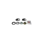 Auto si Moto - Piese auto si accesorii - Piese auto - Sisteme de directie - Set rulment roata FORD ESCORT VI limuzina GAL FAG 713 8002 10 - Infinity.ro