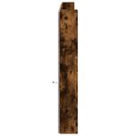 Casa si Gradina - Mobilier - Paturi si accesorii - Accesorii paturi - Tablie de pat cu dulap si LED, stejar fumuriu, 220x16,5x103,5cm - Infinity.ro