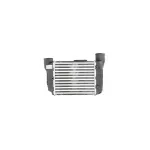 Auto si Moto - Piese auto si accesorii - Piese auto - Sisteme de alimentare - Intercooler AUDI A4 Avant 8ED B7 DENSO DIT02002 - Infinity.ro