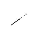 Auto si Moto - Piese auto si accesorii - Piese auto - Sisteme de amortizare - Amortizor Capota Audi A3 Cabriolet 8P7 Stabilus 023812 - Infinity.ro
