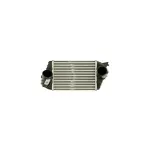 Auto si Moto - Piese auto si accesorii - Piese auto - Sisteme de alimentare - Intercooler Fiat Stilo Multi Wagon 192 Denso Dit09120 - Infinity.ro
