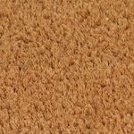 Casa si Gradina - Textile si covoare - Covoare - Covoare casa - Covoras de usa, natural, 100x200 cm, fibre de cocos - Infinity.ro