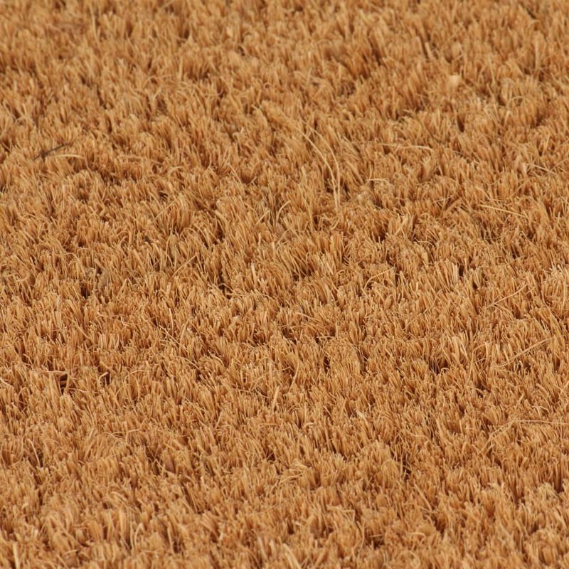 Casa si Gradina - Textile si covoare - Covoare - Covoare casa - Covoras de usa, natural, 50x80 cm, fibre de cocos - Infinity.ro