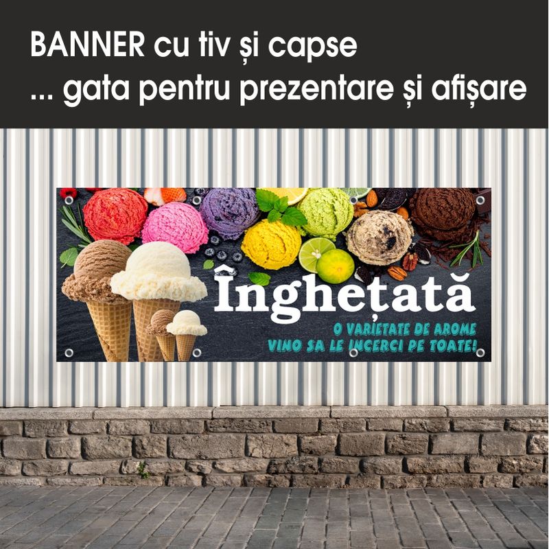 Carti si Birotica - Papetarie - Afise si stickere - Banner MEDIA, Inghetata model 1, 150 x 60 cm - Infinity.ro
