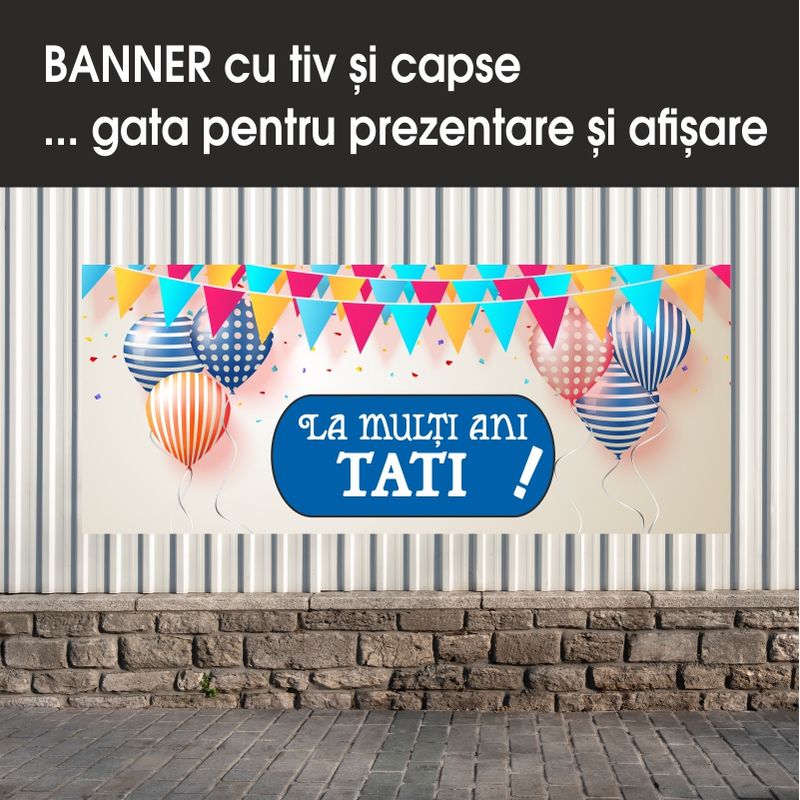 Carti si Birotica - Papetarie - Afise si stickere - Banner MEDIA, La multi ani tati model 1, 300 x 120 cm - Infinity.ro