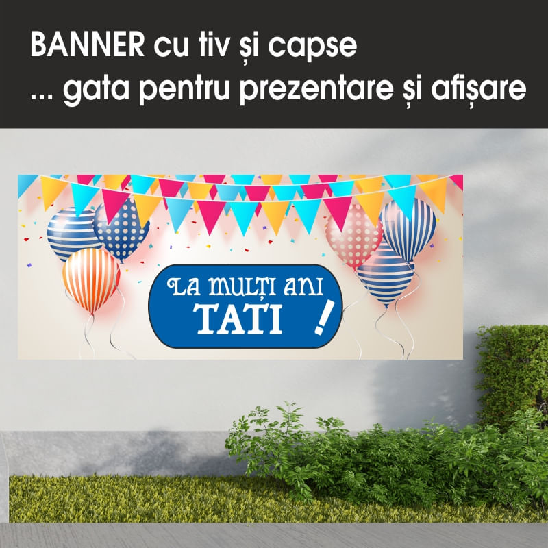 Carti si Birotica - Papetarie - Afise si stickere - Banner MEDIA, La multi ani tati model 1, 300 x 120 cm - Infinity.ro
