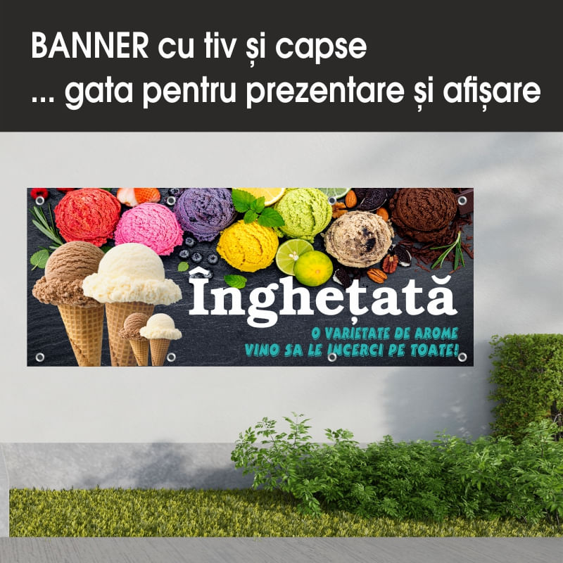 Carti si Birotica - Papetarie - Afise si stickere - Banner MEDIA, Inghetata model 1, 300 x 120 cm - Infinity.ro