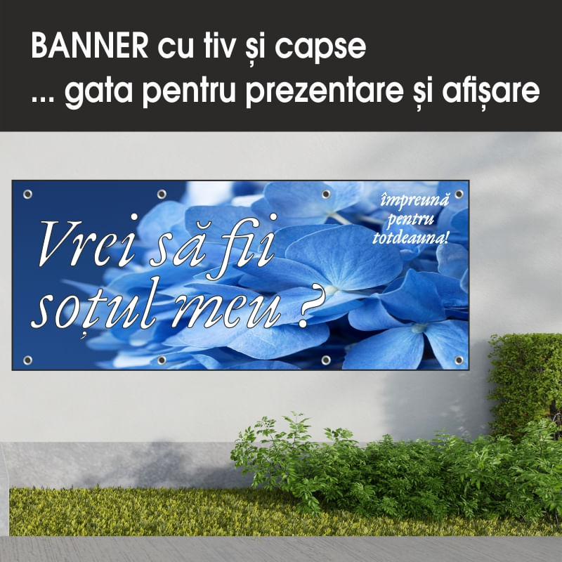 Carti si Birotica - Papetarie - Afise si stickere - Banner MEDIA, Vrei sa fii sotul meu model 1, 200 x 80 cm - Infinity.ro