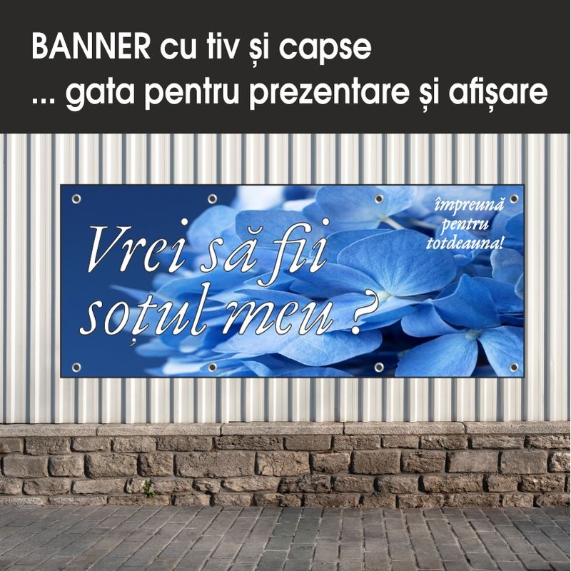 Carti si Birotica - Papetarie - Afise si stickere - Banner MEDIA, Vrei sa fii sotul meu model 1, 200 x 80 cm - Infinity.ro