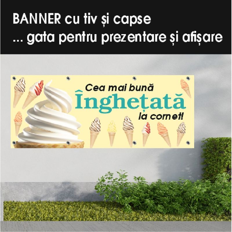 Carti si Birotica - Papetarie - Afise si stickere - Banner MEDIA, Inghetata model 2, 200 x 80 cm - Infinity.ro