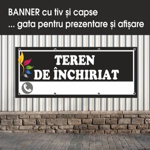 Carti si Birotica - Papetarie - Afise si stickere - Infinity.ro