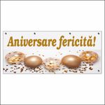 Carti si Birotica - Papetarie - Afise si stickere - Banner MEDIA, Aniversare fericita model 2, 250 x 100 cm - Infinity.ro