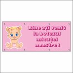 Carti si Birotica - Papetarie - Afise si stickere - Banner MEDIA, Bine ati venit la botez model 2, 250 x 100 cm - Infinity.ro