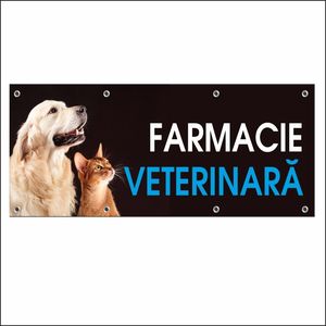 Carti si Birotica - Papetarie - Afise si stickere - Infinity.ro