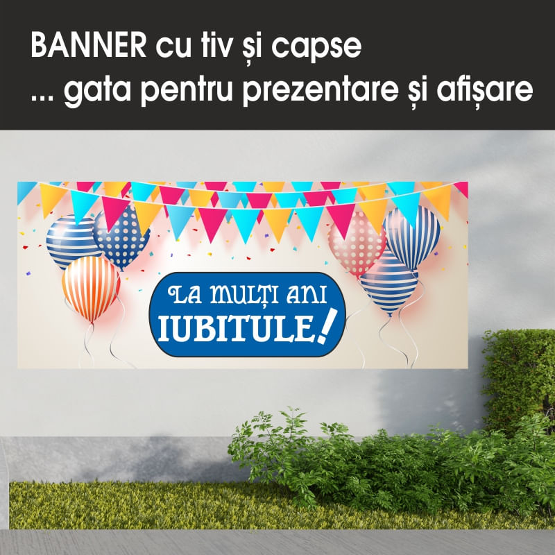 Carti si Birotica - Papetarie - Afise si stickere - Banner MEDIA, La multi ani iubitule model 1, 200 x 80 cm - Infinity.ro