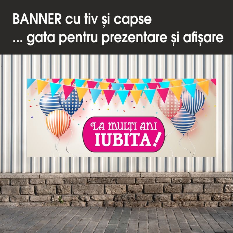 Carti si Birotica - Papetarie - Afise si stickere - Banner MEDIA, La multi ani iubita model 1, 300 x 120 cm - Infinity.ro