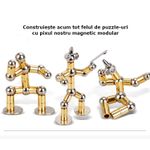 Carti si Birotica - Birotica - Instrumente de scris - Pixuri si stilouri - Set Pix Modular Magnetic Premium cu 30 Bile Magnetice, 14 Inele Magnetice, 2 Stylus-uri si 5 Mine, Auriu - Infinity.ro