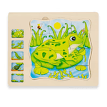 Jucarii, Copii si Bebe - Jucarii si jocuri - Jucarii & jocuri educative - Jocuri si jucarii educative - Puzzle din lemn in 5 straturi cu ciclul de viata al broastelor, 22x18x2cm - Infinity.ro