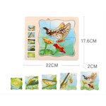 Jucarii, Copii si Bebe - Jucarii si jocuri - Jucarii & jocuri educative - Jocuri si jucarii educative - Puzzle din lemn in 5 straturi cu ciclul de viata al fluturelui, 22x18x2cm - Infinity.ro