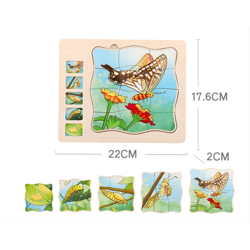 Jucarii, Copii si Bebe - Jucarii si jocuri - Jucarii & jocuri educative - Jocuri si jucarii educative - Puzzle din lemn in 5 straturi cu ciclul de viata al fluturelui, 22x18x2cm - Infinity.ro
