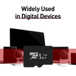 TV, Audio-Video si Foto - Aparate foto si accesorii - Accesorii foto si video - Carduri memorie - Card memorie DolphinMC® SD Card - Infinity.ro