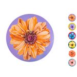 Casa si Gradina - Textile si covoare - Textile bucatarie - Servete si naproane - Set 6 suporturi rotunde pentru farfurii Surreal Spring, H&H, model floral, polipropilena, 34 cm - Infinity.ro