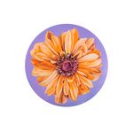 Casa si Gradina - Textile si covoare - Textile bucatarie - Servete si naproane - Set 6 suporturi rotunde pentru farfurii Surreal Spring, H&H, model floral, polipropilena, 34 cm - Infinity.ro