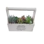 Casa si Gradina - Decoratiuni - Obiecte decorative - Plante artificiale - Plante artificiale decorative in suport lemn 21x10x20 cm, Alb - Infinity.ro