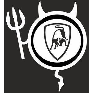 Auto si Moto - Intretinere auto - Stickere auto - Infinity.ro