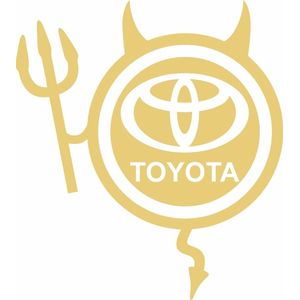 Auto si Moto - Intretinere auto - Stickere auto - Infinity.ro