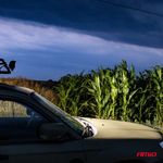 Auto si Moto - Piese auto si accesorii - Caroserie - Faruri, stopuri si proiectoare - Proiector LED pentru Off-Road, ATV, SSV, culoare 6500K, 4800 lm, tensiune 9 - 36V, dimensiuni 240 x 74 mm - Infinity.ro