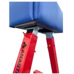 Sport si Outdoor - Accesorii si echipamente sportive - Gimnastica - Capra gimnastica Anastasia Sport - Infinity.ro