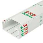 PC, gaming si accesorii - Retelistica - Cabluri si accesorii - Canal cablu 102x50 mm cu capac, 2m - DLX DLX-102-50 - Infinity.ro