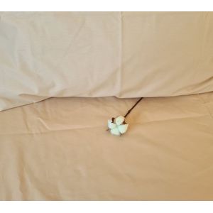 Lenjerie de pat brodata Family by Ariale, pentru 2 persoane, 4 piese, bumbac ranforce, 200 x220 cm, Bej