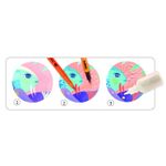 Jucarii, Copii si Bebe - Jucarii si jocuri - Jucarii & jocuri educative - Jocuri si jucarii educative - Set lucru manual si desen - Sub apa - Infinity.ro