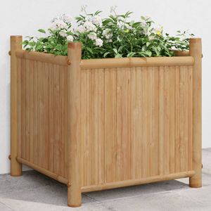 Casa si Gradina - Gradinarit si plante - Infinity.ro