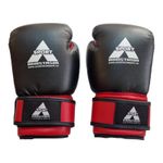 Sport si Outdoor - Sporturi de contact - Saci de box si accesorii - Manusi box junior Anastasia Sport 8 OZ - Infinity.ro